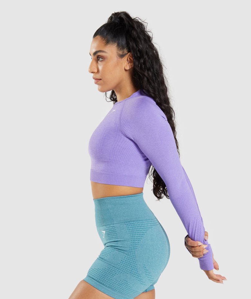 Women's Gymshark Vital Seamless 2.0 Long Sleeve Cropped Tops Lavender | NZ 5OLYUB